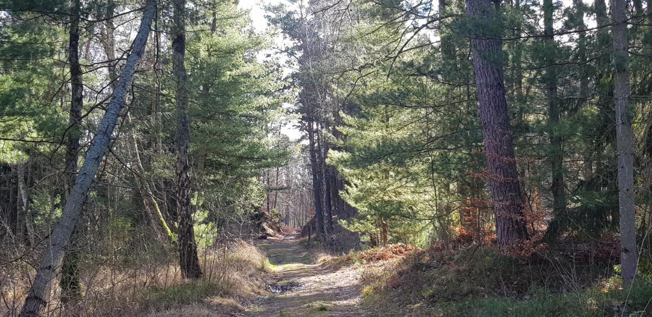 Villa Lipova Stegna Pokoje I Apartamenty Dedykowane Osobom Doroslym 외부 사진